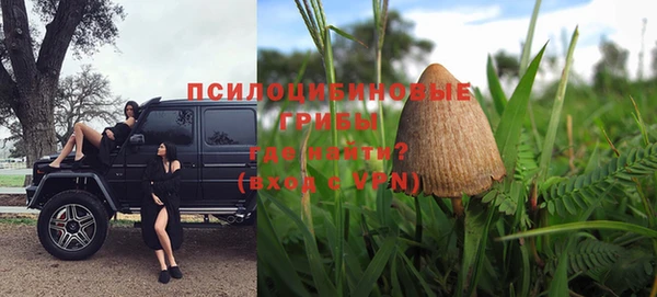 прущие крисы Баксан