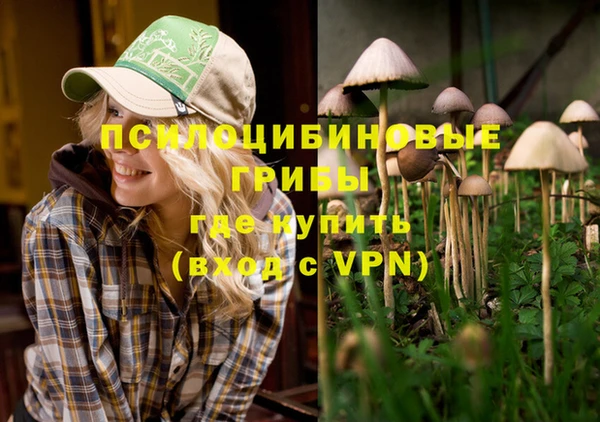 Альфа ПВП Балахна