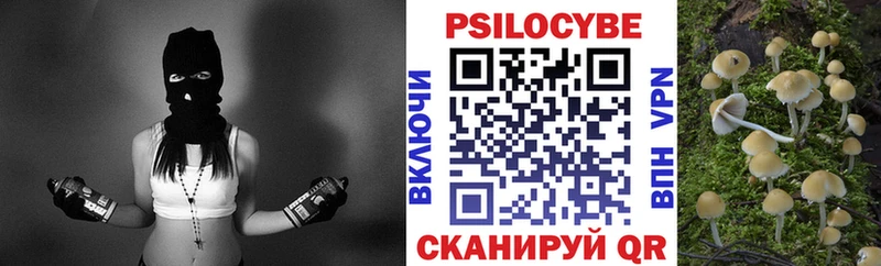 Купить  Боготол  Галлюциногенные грибы мицелий 