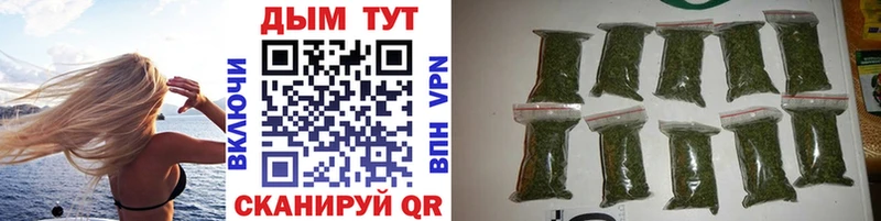 Бошки Шишки сатива  Купить закладки  Боготол 